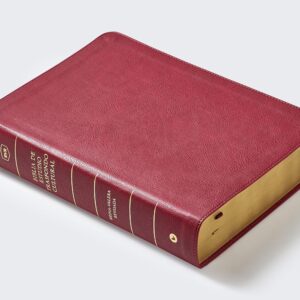 RVR 77 Biblia de Estudio Trasfondo Cultural Imitación Piel - Vino