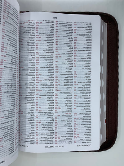 Bíblia de estudio Thompson Reina Valera revisada cierre índice café - Imagen 4