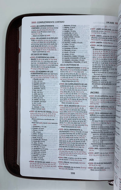 Bíblia de estudio Thompson Reina Valera revisada cierre índice café - Imagen 7